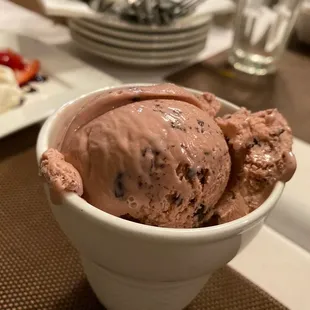 Black raspberry ice cream with chocolate chips