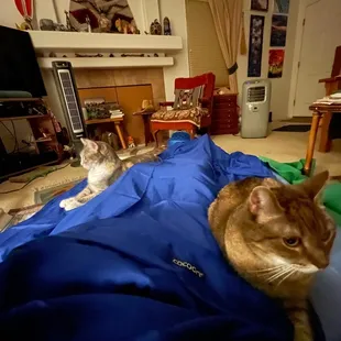 Everyone sleeping on the floor to avoid the 94° master bedroom. 89° was a big improvement.