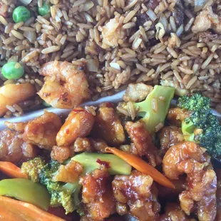 General tso&apos;s and house fried rice