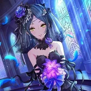 Shiroi Y.