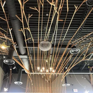 Cool ceiling design!