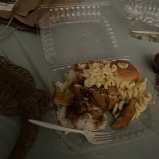 Brand new plate just opened (lizard not included)