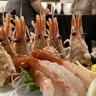 Ama ebi (sweet shrimp) platter