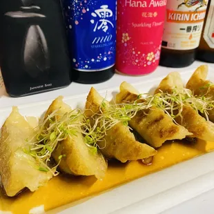 Gyoza