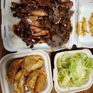 Chicken and beef combo and deep fried Gyoza