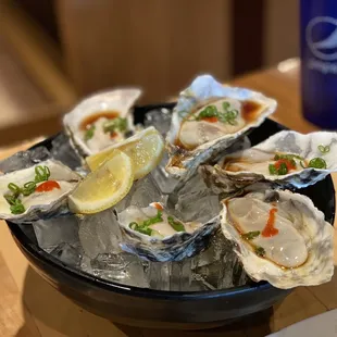 a plate of oysters