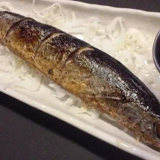 Mackerel
