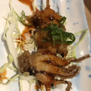 Octopus