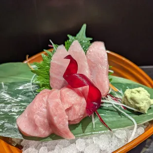Blue Fin O Toro