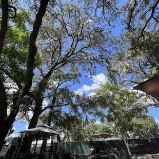 What a place!!! Absolutely wonderful people &amp; tasty shaved ice. Made my Sunday