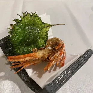 Shrimp Head Uni