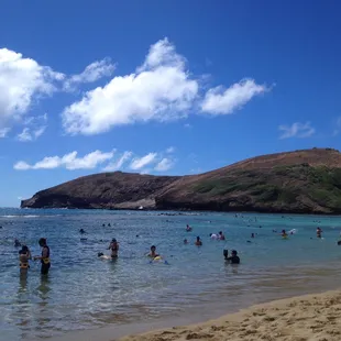 perfect weather for a swim most every day of the year