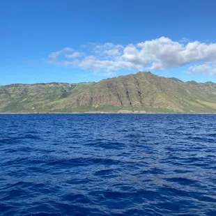 Whale watching and snorkeling boat ride view