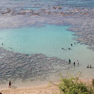 Hanauma Bay Tours snorkeling adventures