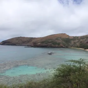 View from the top of the hill. Tons of fishes!!