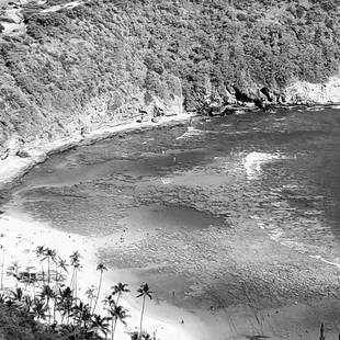 Hanauma Bay in b/w