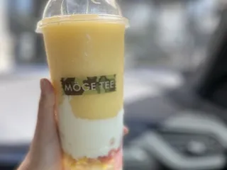 MÖGE TEE -  Sand Lake