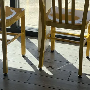 two chairs facing a window