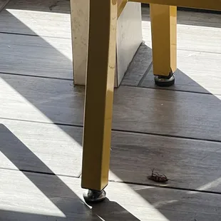 a close up of a yellow chair