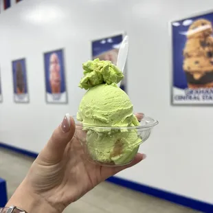 a hand holding a cup of ice cream