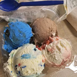 4 Scoop Sampler