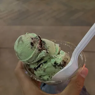Small mint chocolate chip ($5.50)