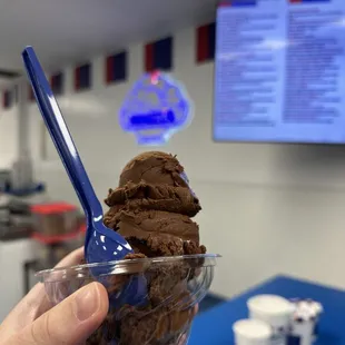 Vegan chocolate ice cream in small dish