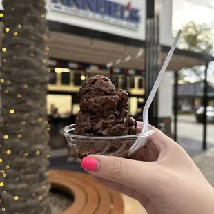 a hand holding a cup of ice cream