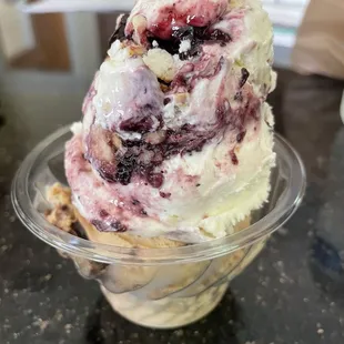Blueberry Cheesecake Chunk and Mocha Almond Fudge Ripple