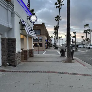 a sidewalk with palm trees