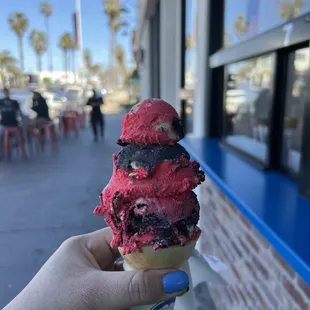 They colored their Oreo ice cream in SDSU colors to show their support! So delicious and scoops are very generous! This is a small! :)