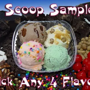 4 scoop Sampler