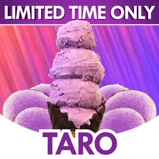 Now Serving TARO!!