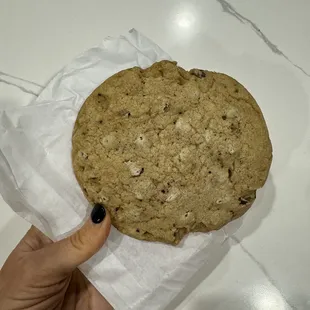 a hand holding a chocolate chip cookie