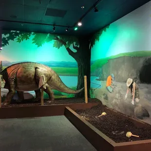 Paleontological dig