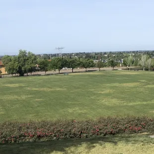 Soccer Field