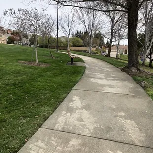 Pathway through the park.