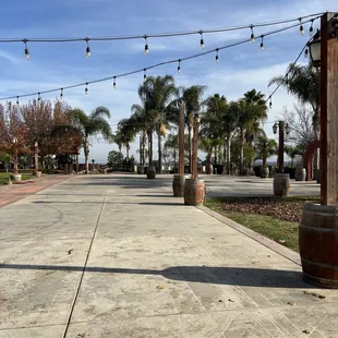 a walkway lined with barrels