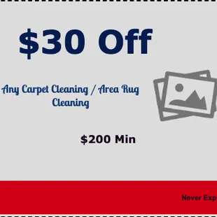 $ 30 off carpet cleaning / area rug cleaning