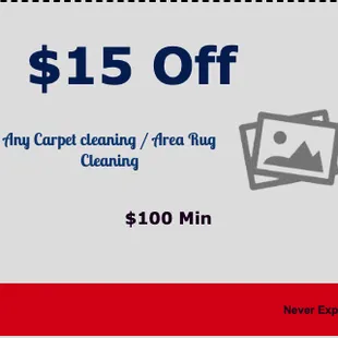 $ 15 off carpet cleaning / area rug cleaning