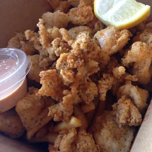 Calamari and Canun Fries Basket