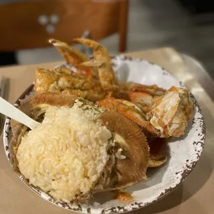 Dungeness Crab