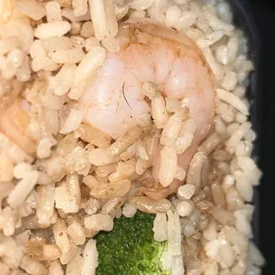 Shrimp Fried Rice