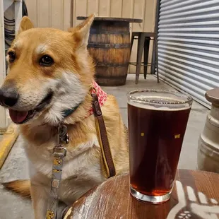 Chocolate Bomber and Tod..