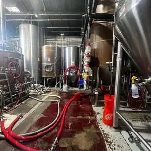 Beer in the knock out process