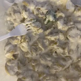 Supposedly chicken Alfredo.  Just noodles drown in tasteless white paste.