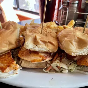 Salmon Sliders