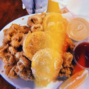Fried Calamari