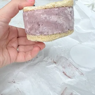 sandwich, sandwiches, food