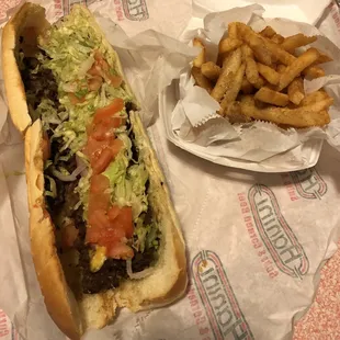 Steak and Cheese Hot Sub and fries